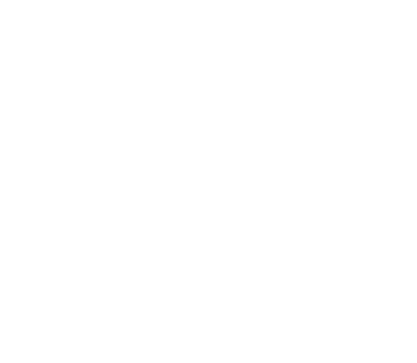 companyName